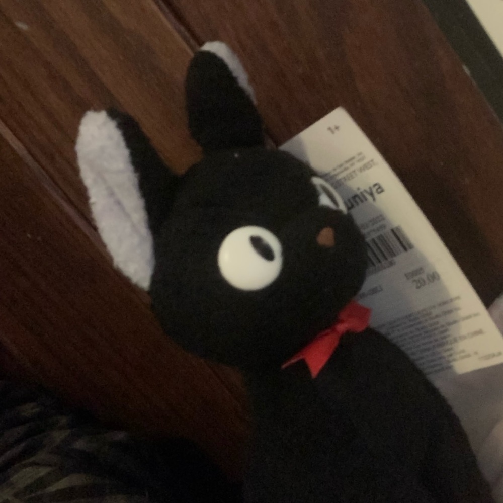 Meet your Posher, Ava